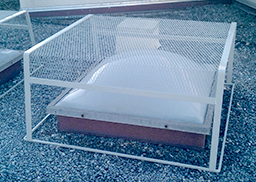 PROTECTION SKYDOME